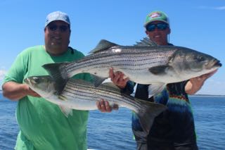 Deep Sea Fishing Cape Cod - Early August 2015