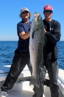 Deep Sea Fishing Cape Cod - Early August 2015