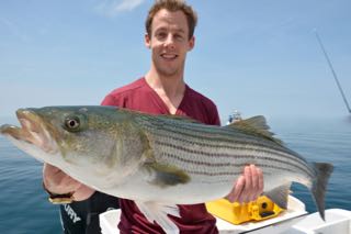 Fish Reel Deal on Cape Cod! - June 12, 2015