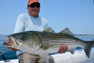 Fish Cape Cod on your Summer Vacation - July 2015