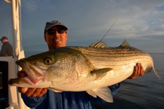 Fish Cape Cod on your Summer Vacation - July 2015