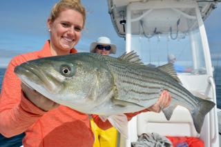 Topwater Striped Bass Fishing! - June 16, 2015