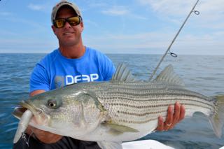 Topwater Striped Bass Fishing! - June 16, 2015