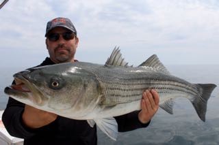 Truro Fishing Charters - June 13, 2015
