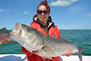 Massachusetts Striped Bass Fishing! - June 4, 2015