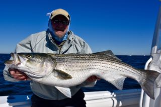 Cape Cod Fishing Charter Report - Mid June 2016