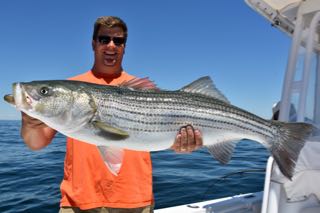 Cape Cod Fishing Charter Report - Mid June 2016