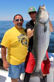 Cape Cod Fishing Charter Report - Mid June 2016