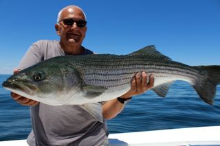 Cape Cod Fishing Charter Report - Mid June 2016