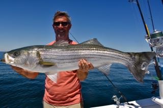 Cape Cod Fishing Charter Report - Mid June 2016