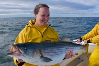 Cape Cod Fishing Charter Report - Mid June 2016