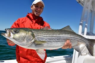 Cape Cod Fishing Charter Report - Mid June 2016