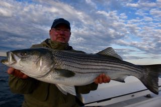 Cape Cod Fishing Charter Report - Mid June 2016