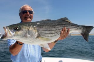 Cape Cod Fishing with Reel Deal! - Early July 2016