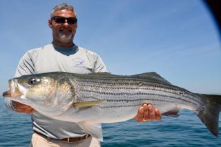 Cape Cod Fishing with Reel Deal! - Early July 2016