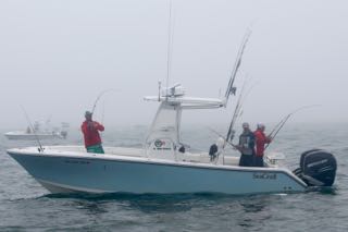 Cape Cod Fishing with Reel Deal! - Early July 2016