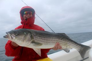 Cape Cod Fishing with Reel Deal! - Early July 2016