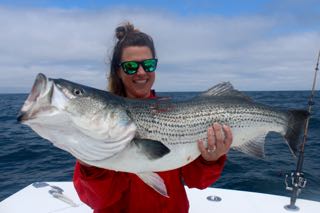 Cape Cod Fishing with Reel Deal! - Early July 2016