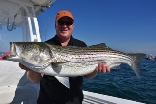 Cape Cod Fishing with Reel Deal! - Early July 2016