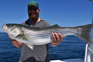 Cape Cof Fishing Charters! - Late July 2016