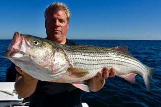 Cape Cof Fishing Charters! - Late July 2016