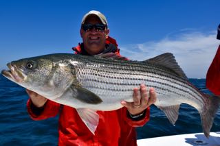 Reel Deal Fishing! - Late June 2016