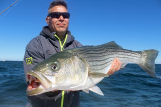 Captain Bobby Rice's Fishing Fleet - Early July 2016