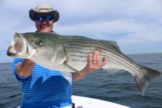 Captain Bobby Rice's Fishing Fleet - Early July 2016