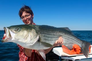 Captain Bobby Rice's Fishing Fleet - Early July 2016
