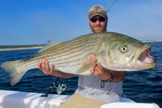 Captain Bobby Rice's Fishing Fleet - Early July 2016