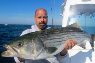 Captain Bobby Rice's Fishing Fleet - Early July 2016