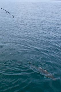 The Keepers Are on Cape Cod! - Mid May 2016
