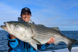 Fishing Daddy Mac and Gibbs Lures off Cape Cod - Early June 2016
