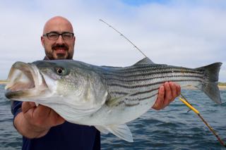 Fishing Daddy Mac and Gibbs Lures off Cape Cod - Early June 2016