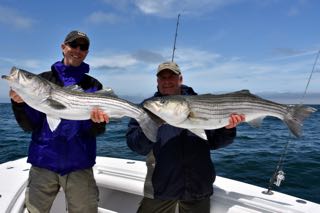 Fishing Daddy Mac and Gibbs Lures off Cape Cod - Early June 2016