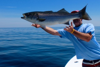 Massachusetts Fishing Update - Mid July 2016