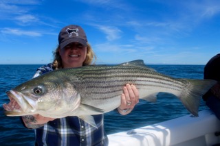 Massachusetts Fishing Update - Mid July 2016