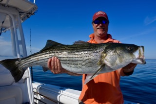 Massachusetts Fishing Update - Mid July 2016