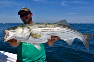 Massachusetts Fishing Update - Mid July 2016