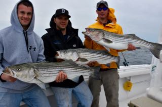 Cape Cod Charter Fishing Update - Mid May 2016