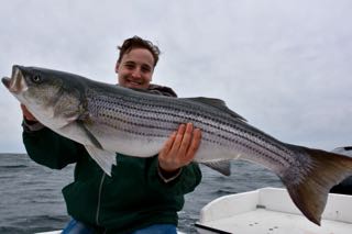 Cape Cod Charter Fishing Update - Mid May 2016