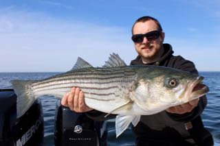 Cape Cod Charter Fishing Update - Mid May 2016