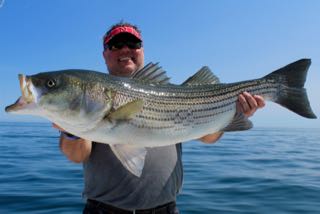 Orleans Cape Cod Fishing - Late August 2016