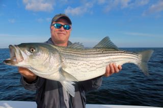 Orleans Cape Cod Fishing - Late August 2016