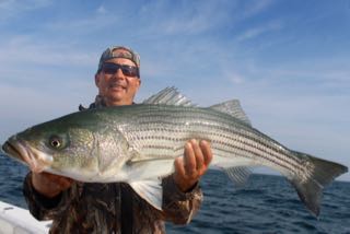 Orleans Cape Cod Fishing - Late August 2016