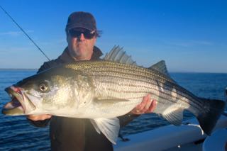 Orleans Cape Cod Fishing - Late August 2016