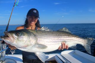 Orleans Cape Cod Fishing - Late August 2016