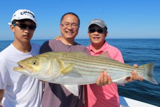 Orleans Cape Cod Fishing - Late August 2016