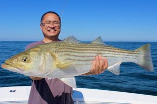 Orleans Cape Cod Fishing - Late August 2016