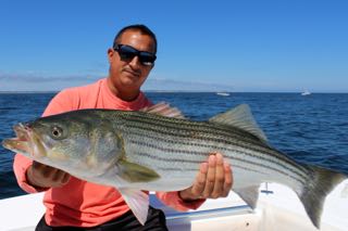 Orleans Cape Cod Fishing - Late August 2016